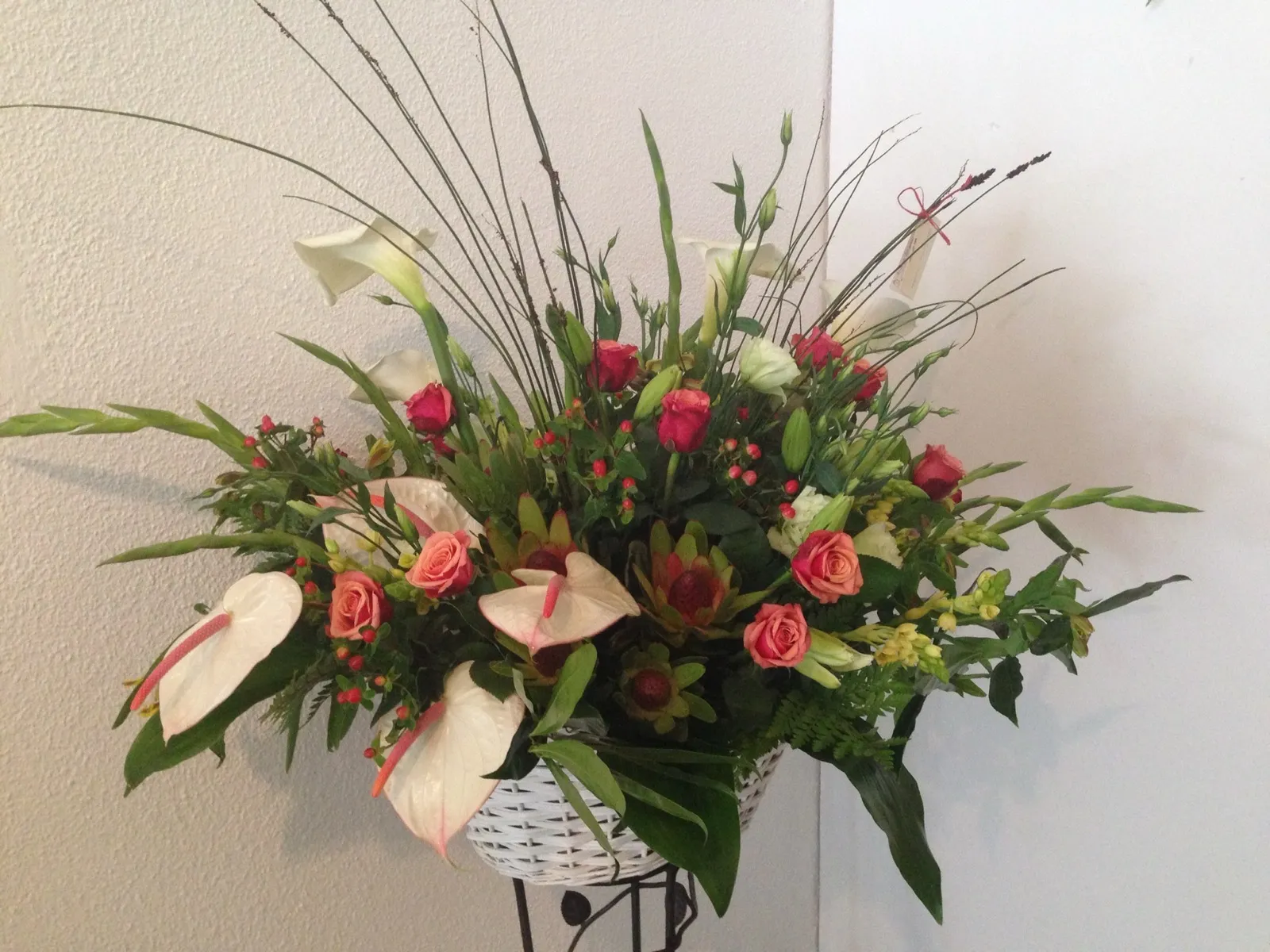 White wicker basket of calla lilies, anthuriums, coral roses and red spray roses