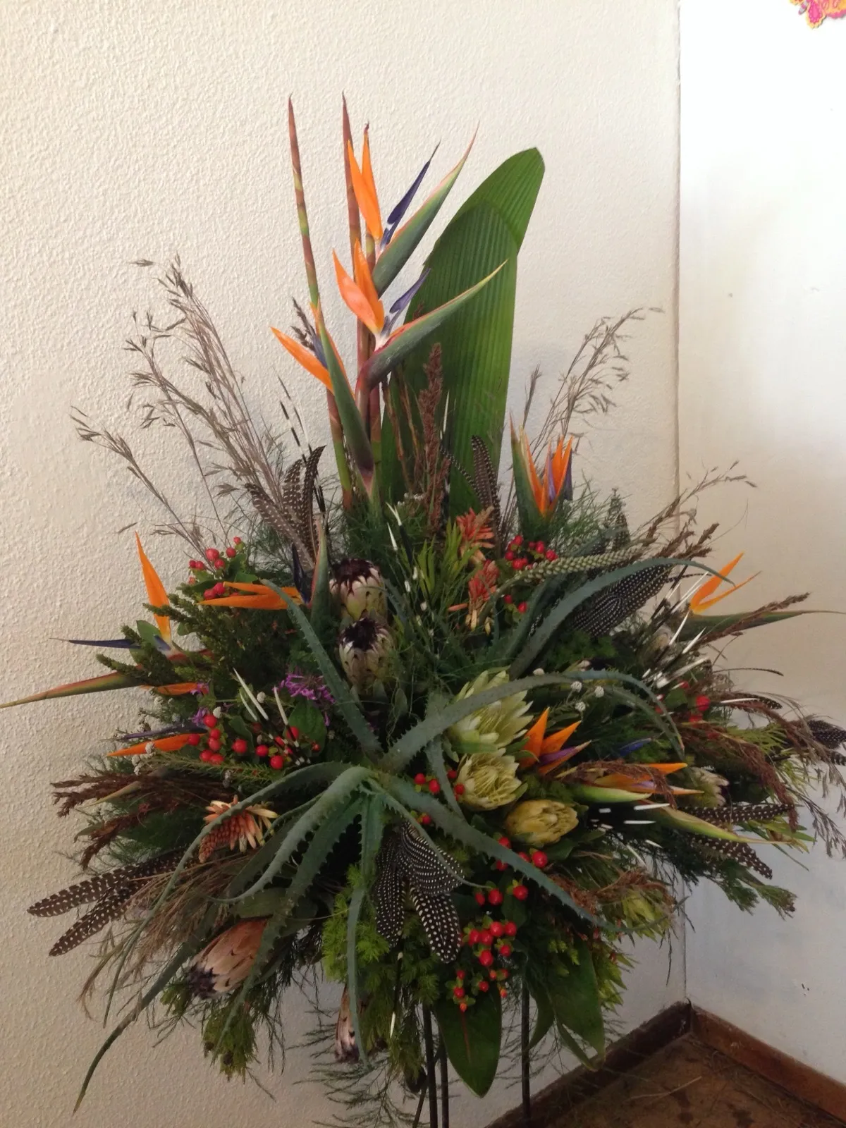 Tall South African arrangement of strelitzias, proteas, aloes, grasses and guinea fowl feathers