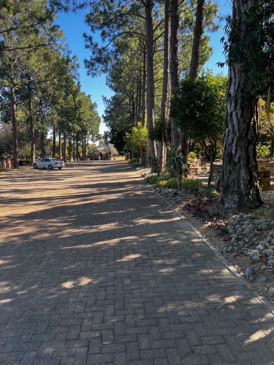 Driveway along the park